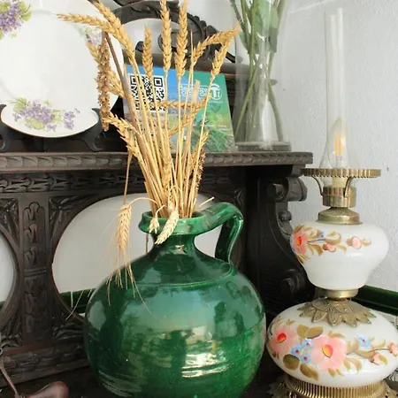 호스탈 푸엔테 게스트하우스